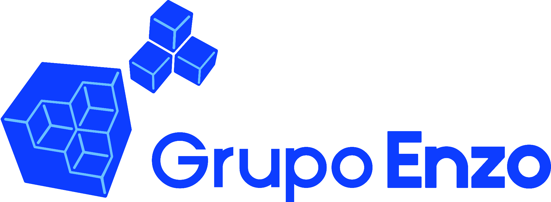 Grupo Enzo